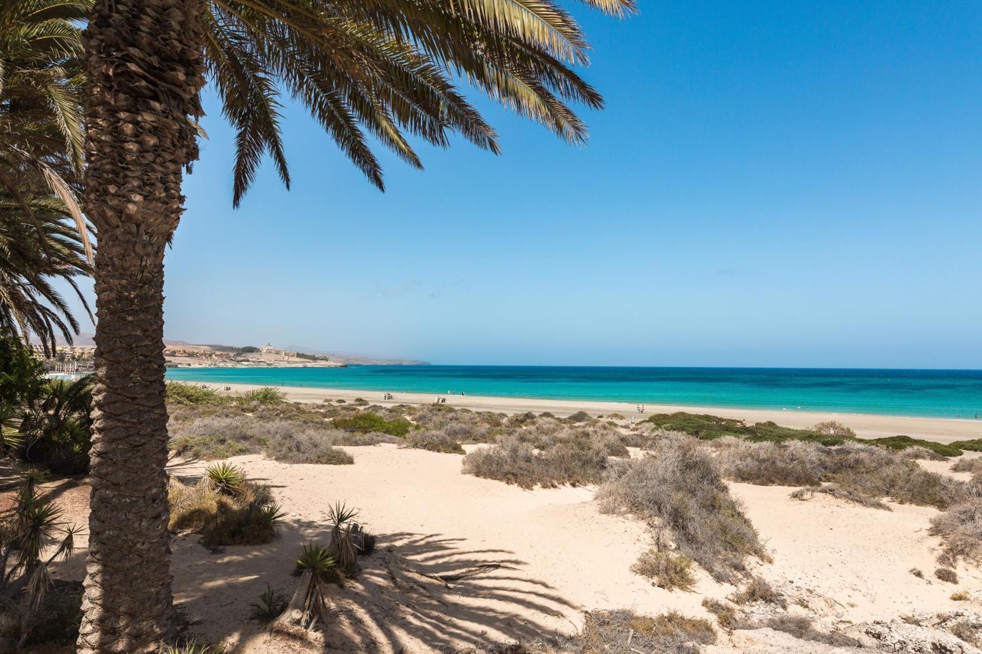 Home2Book Sea View & Terrace Escape, Playa Paraiso Costa Calma Bagian luar foto